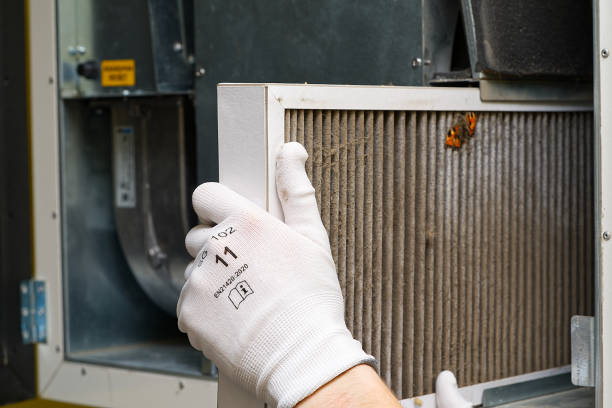 Best Affordable Air Duct Cleaning  in Perham, MN