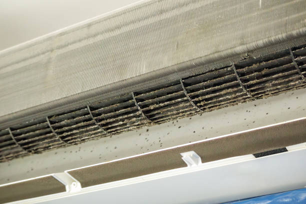 Best Commercial Air Duct Cleaning  in Perham, MN